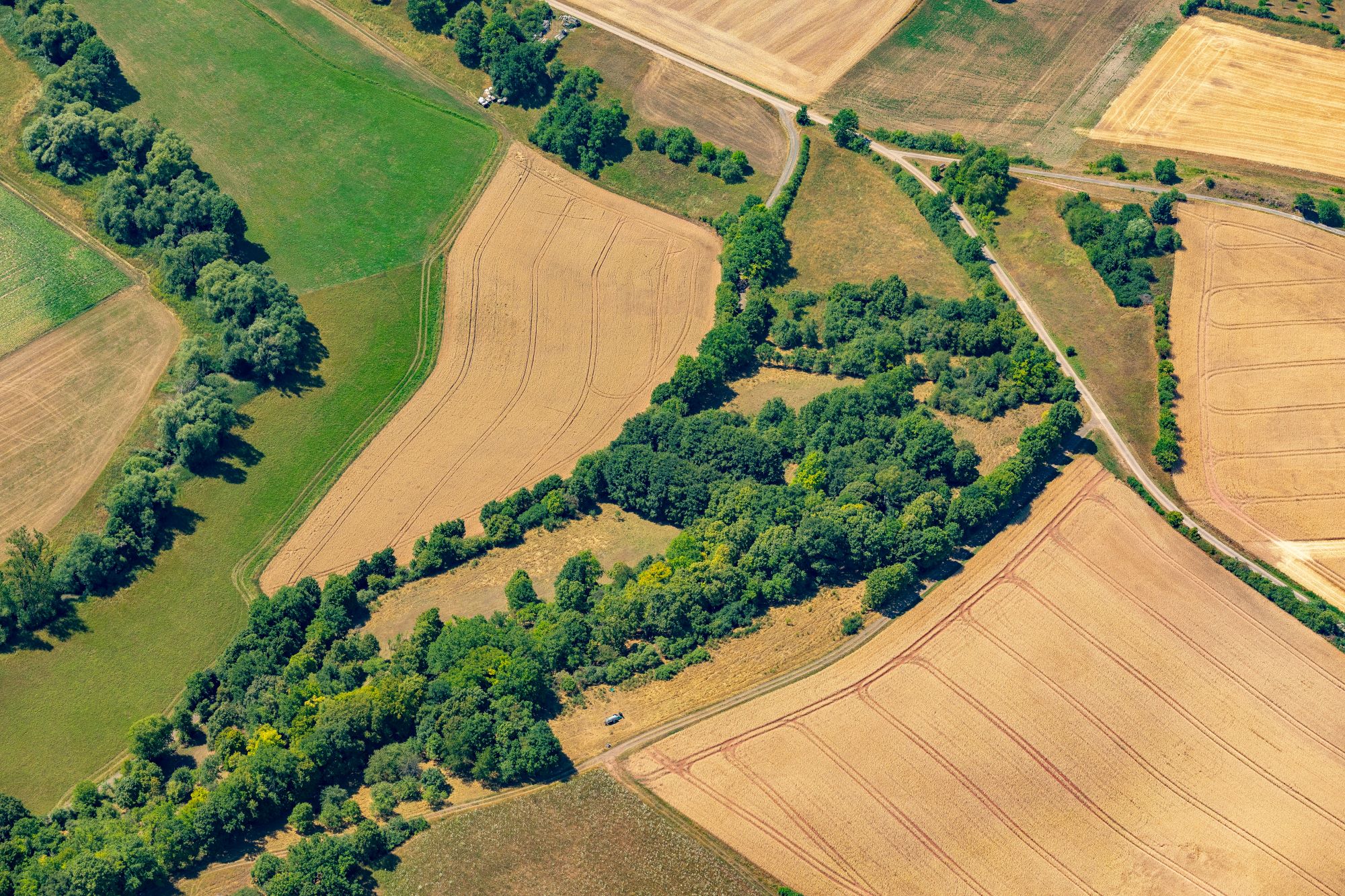 2 Detailaufnahmen Gruenes Band Juli 2025 6