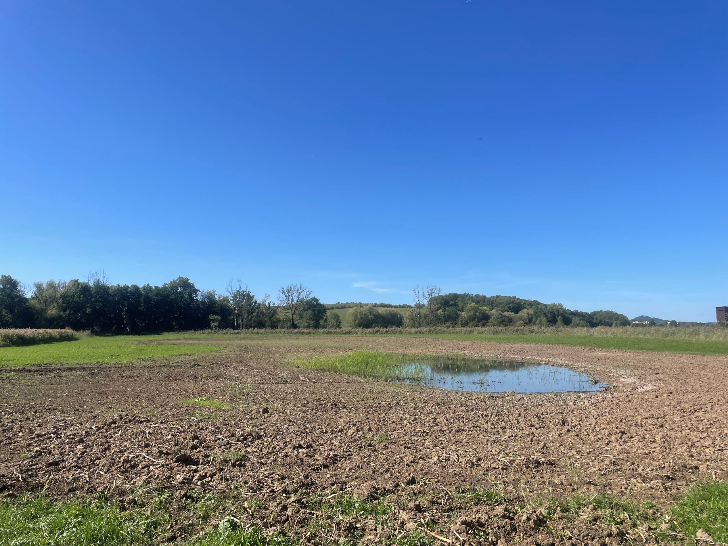 Kleingewässeranlage Elsa