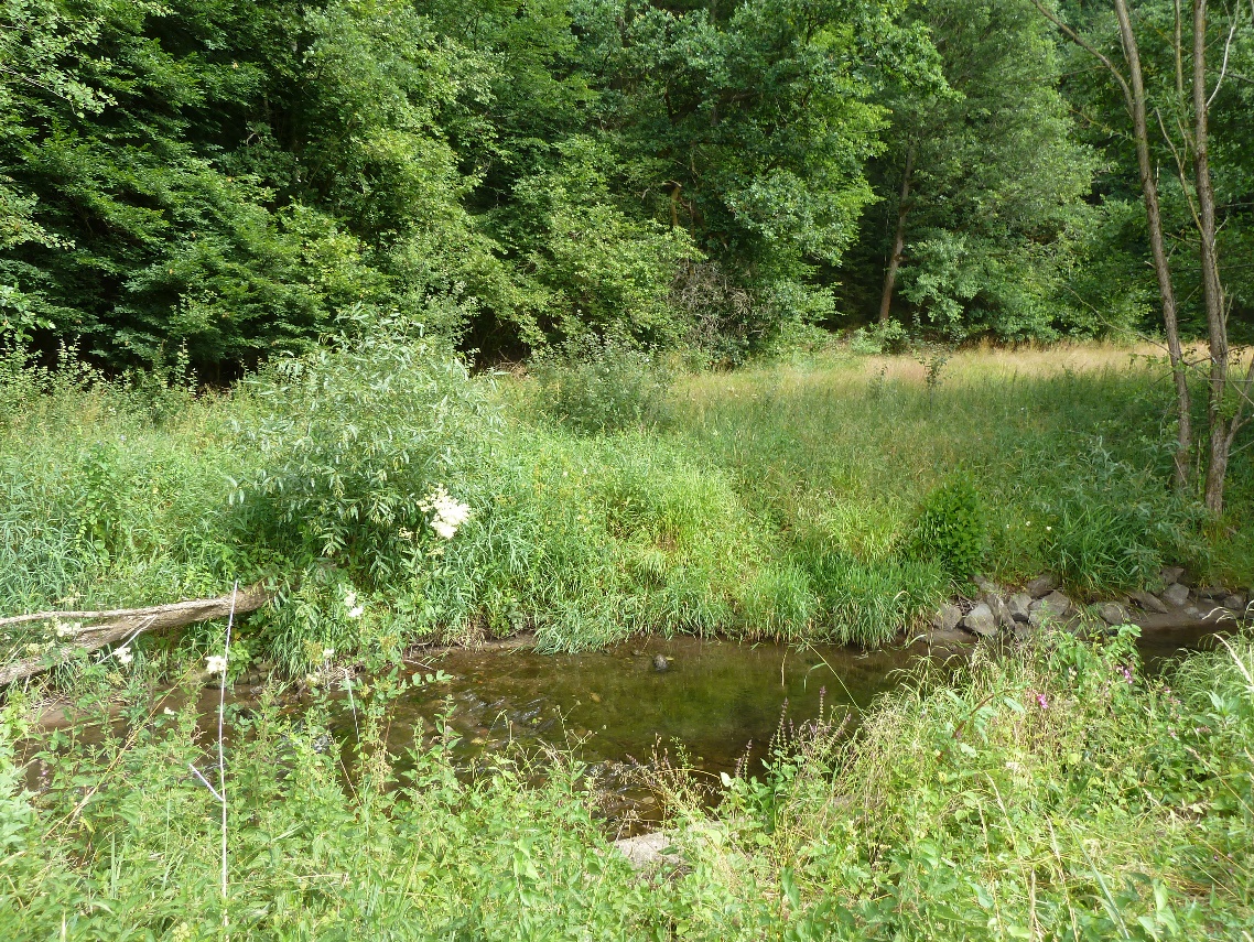 Neubau Furt Frankenblickbote