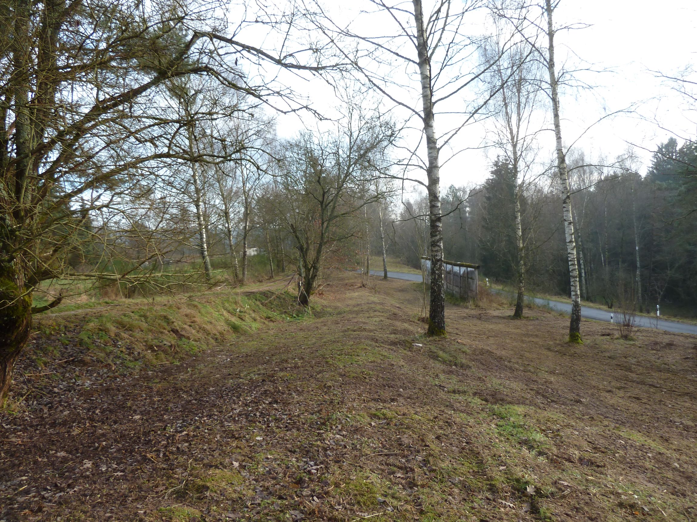 P1160800 Görsdorfer Mauer